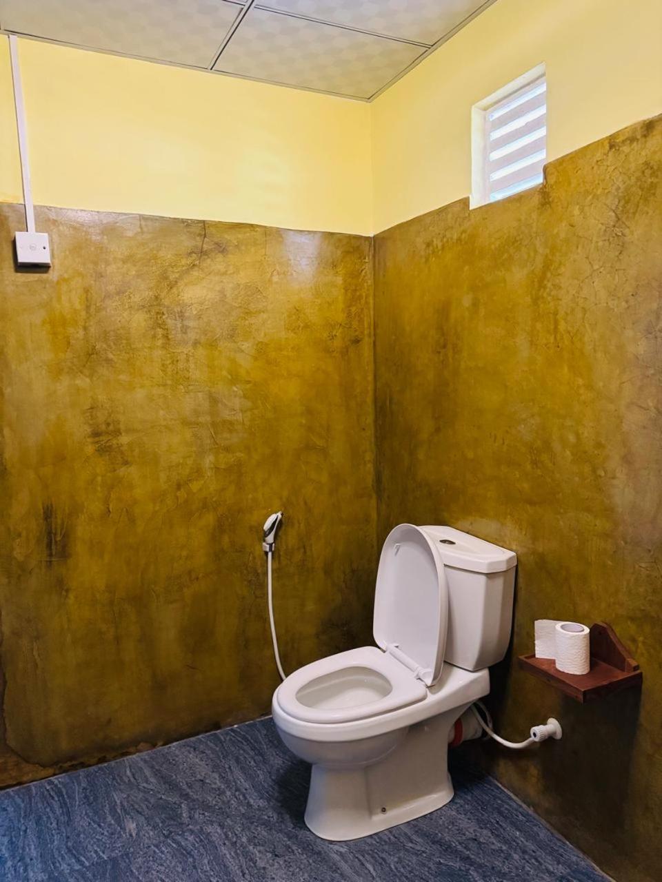 Sigiri Siesta Homestay Сигирия Экстерьер фото